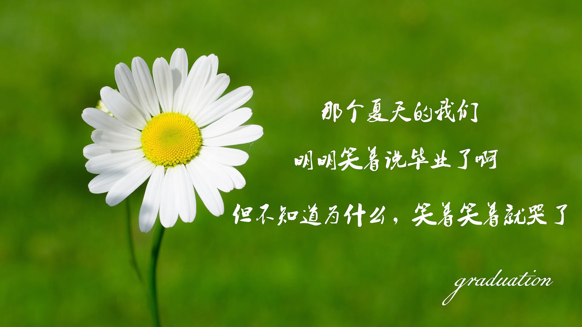 欧国联赛决战在即，球迷热切期待，欧国联赛比赛结果