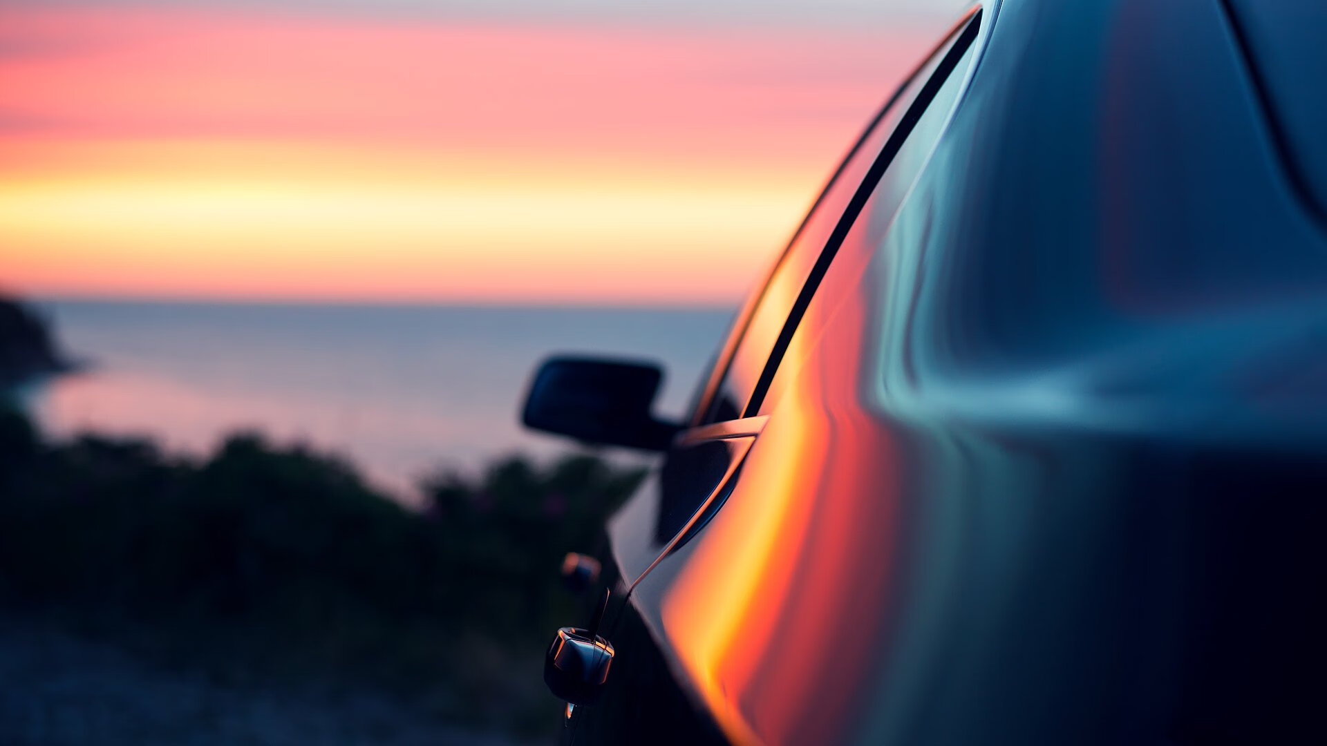 高校运动训练数据分析与应用研究，运动数据分析专业学什么