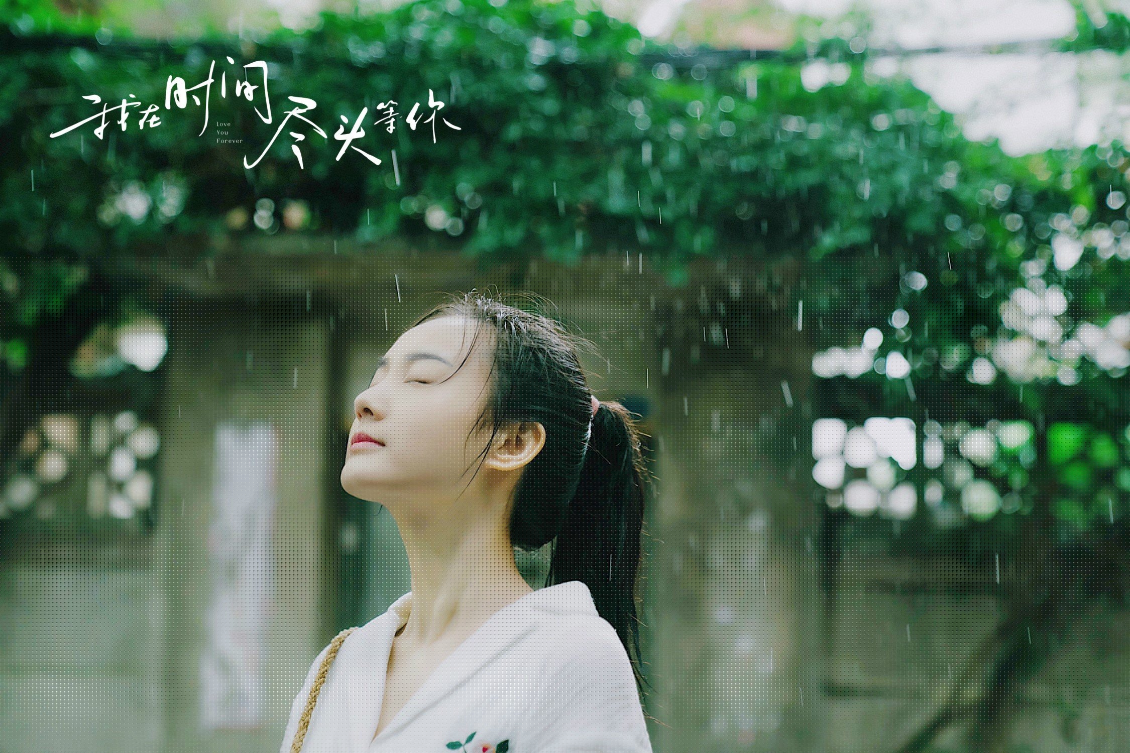 中国篮协召开高层会议部署下阶段发展方向,中国篮协理事名单