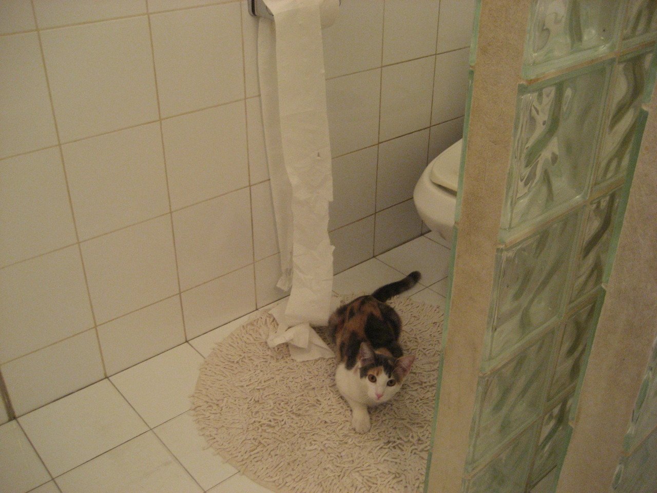 中超联赛中国青年队迎战 技术提升显著,中超青年csly