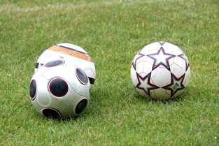 开云官方-基层足球俱乐部资金短缺，基层足球俱乐部资金短缺的原因