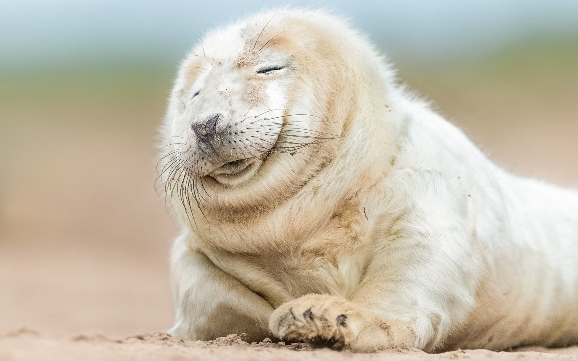 kaiyun官方网站-赵继伟传球视野开阔串联全队节奏流畅，赵继伟打球