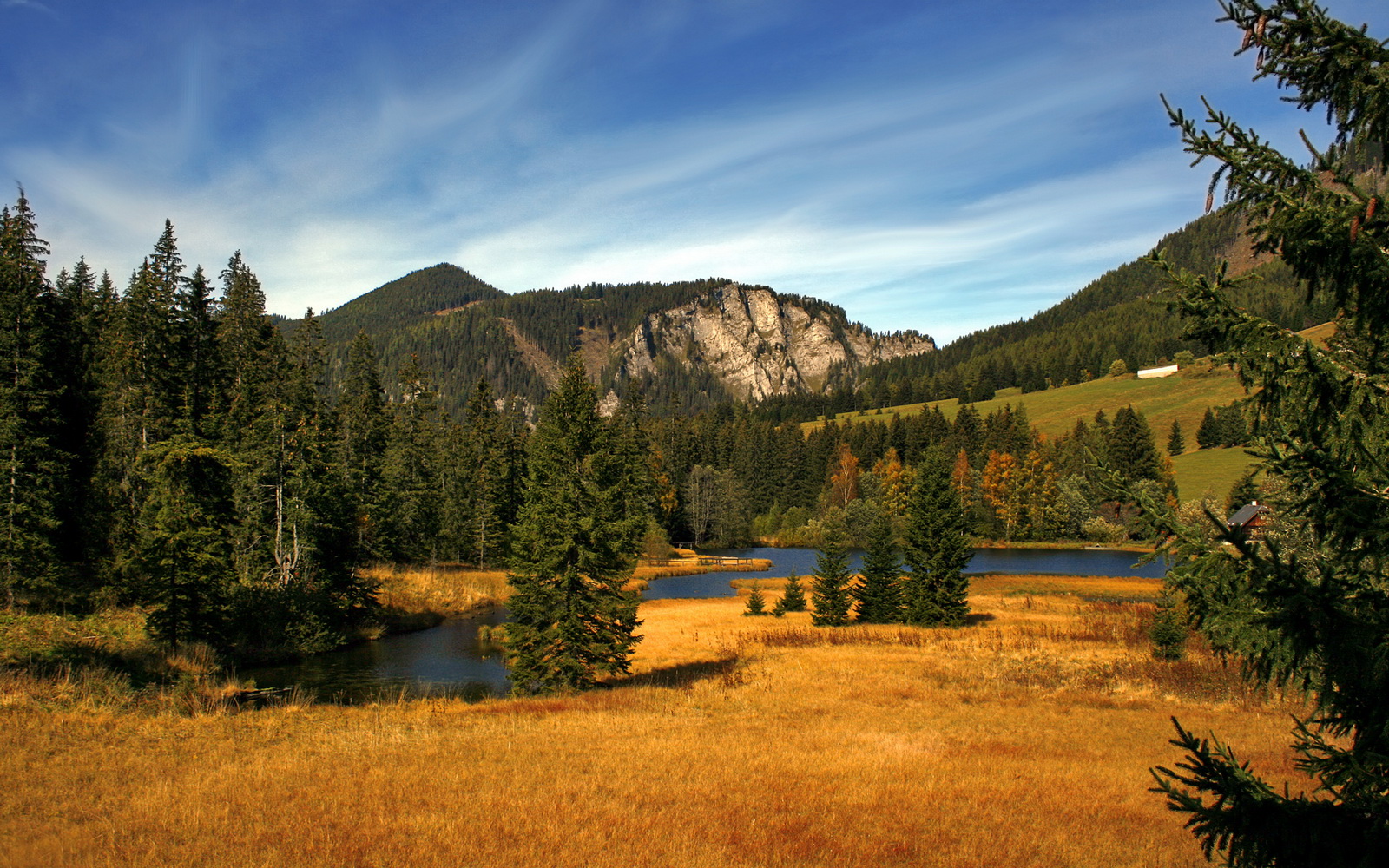 开云官方-凯特·道格拉斯用实力回应质疑，道格拉斯巴雷特和凯多