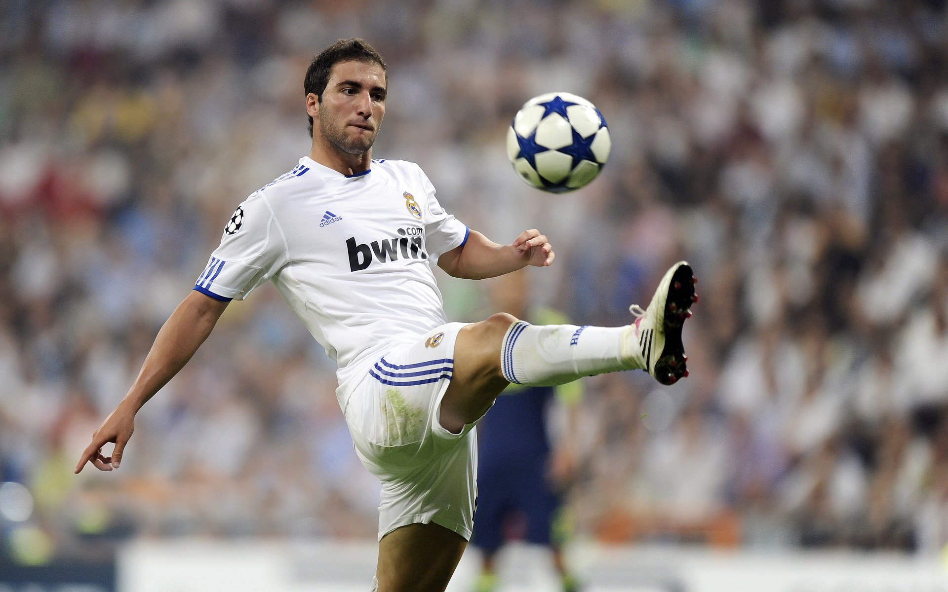 新兴国家加入F1，全球化趋势明显，21个新兴国家